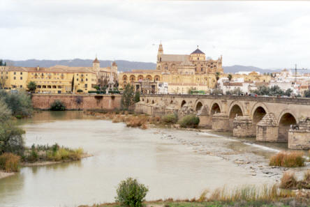 Cordoba from Across the River